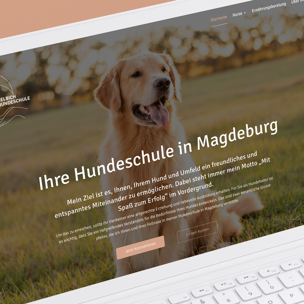 Deetail Projekte Helbich Hundeschule